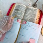 Diário Leitura da Bíblia 365 dias com Deus - Imagem 2