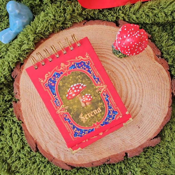bloquinho_bloco_notas_branca_de_neve_capa_vermelha_azul_dourada_maca_vintage_medieval_princesa_contos_fada