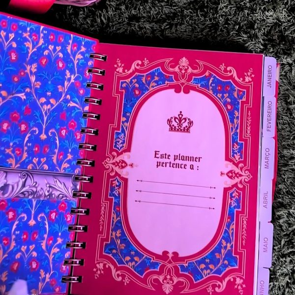 planner_branca_neve_vermelho_azul_papel_polen_vintage_princesa